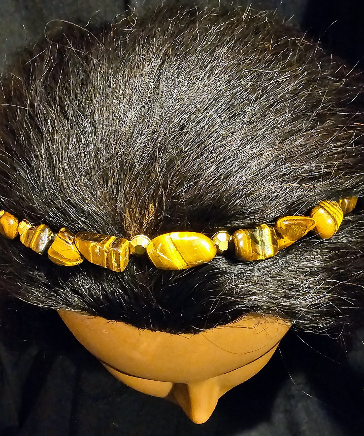 Tiger's caught my Eye