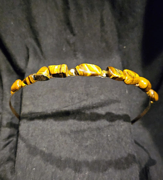 Tiger's caught my Eye